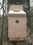 Bird Boxes with Cameras