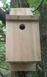 Bird Boxes with Cameras