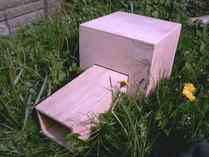 Hedgehog Boxes with Cameras