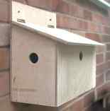 Bird Box